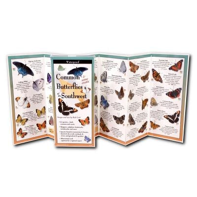 Common Butterflies of the Southwest by Cech, Rick