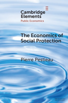 The Economics of Social Protection by Pestieau, Pierre