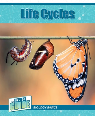 Life Cycles by McClure, Leigh