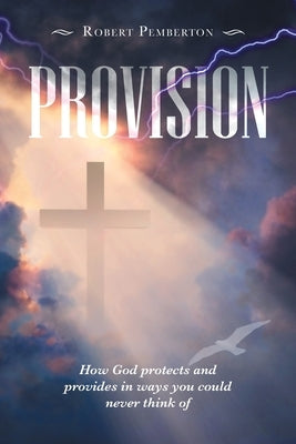 Provision: How God Protects and Provides in Ways You Could Never Think Of by Pemberton, Robert