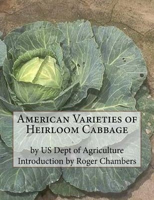 American Varieties of Heirloom Cabbage by Chambers, Roger