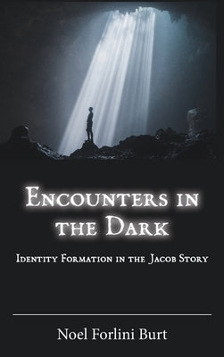 Encounters in the Dark: Identity Formation in the Jacob Story by Forlini Burt, Noel