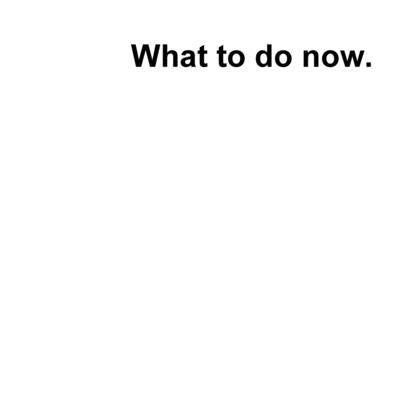 What to do now? by Thaysen, Dominique