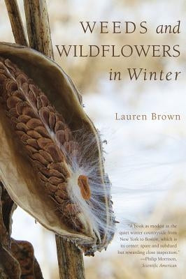 Weeds and Wildflowers in Winter by Brown, Lauren