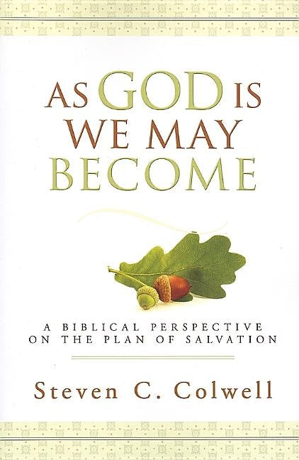 As God Is, We May Become by Colwell, Steve