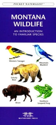Denali Wildlife: A Folding Pocket Guide to the Wildlife of Denali National Park & Denali State Park by Kavanagh, James