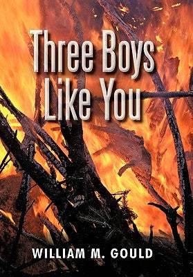 Three Boys Like You by Gould, William M.