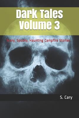 Dark Tales Volume 3: Scary, Spooky, Haunting Campfire Stories by Ninjas, Story