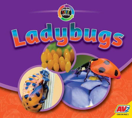 Ladybugs by Carr, Aaron