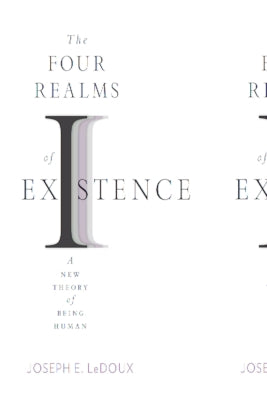 The Four Realms of Existence: A New Theory of Being Human by LeDoux, Joseph E.