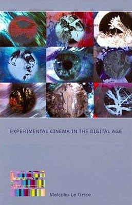 Experimental Cinema in the Digital Age by Le Grice, Malcolm