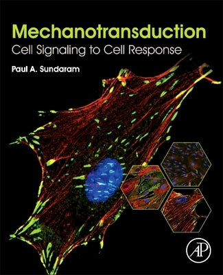 Mechanotransduction: Cell Signaling to Cell Response by Sundaram, Paul