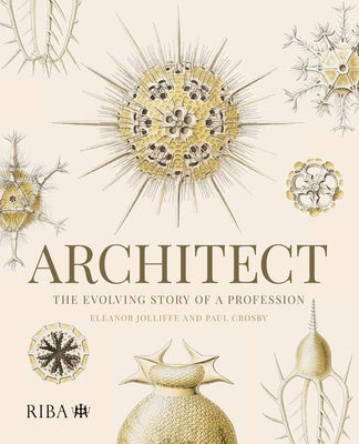 Architect: The Evolving Story of a Profession by Jolliffe, Eleanor