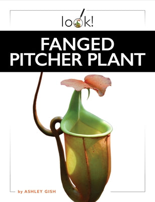 Fanged Pitcher Plant by Gish, Ashley