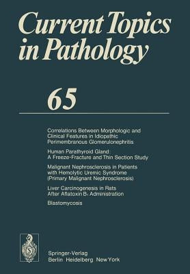 Current Topics in Pathology: Continuation of Ergebnisse Der Pathologie by Grundmann, E.