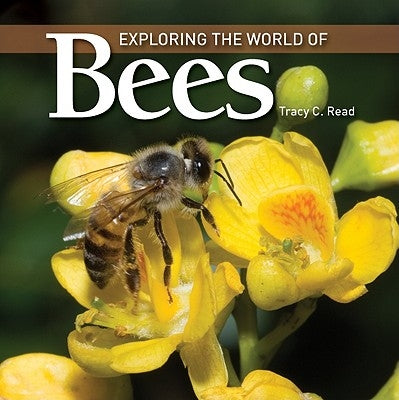 Exploring the World of Bees by Read, Tracy C.