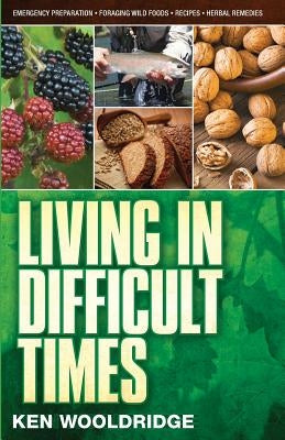 Living in Difficult Times by Wooldridge, Ken