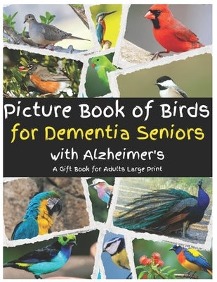 Picture Book of Bird for Alzheimer's or Dementia Patients by Blues, Creative