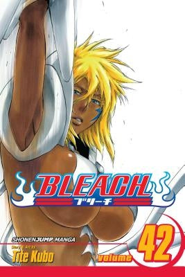 Bleach, Vol. 42: Volume 42 by Kubo, Tite