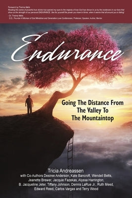 Endurance: Going The Distance From The Valley To The Mountaintop by Vargas, Carlos