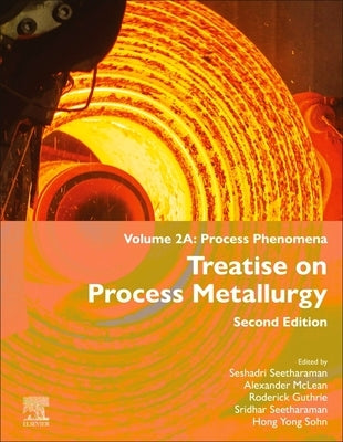 Treatise on Process Metallurgy: Volume 2a: Process Phenomena by Seetharaman, Seshadri