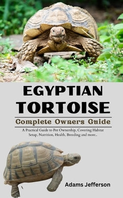 Egyptian Tortoise by Jefferson, Adams