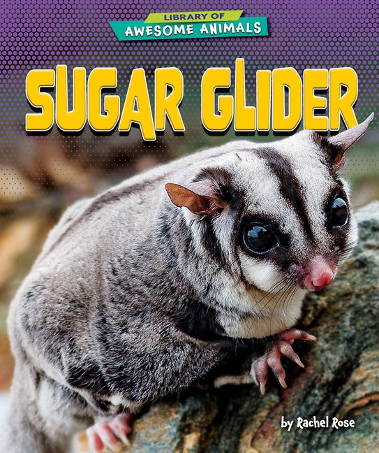 Sugar Glider by Rose, Rachel