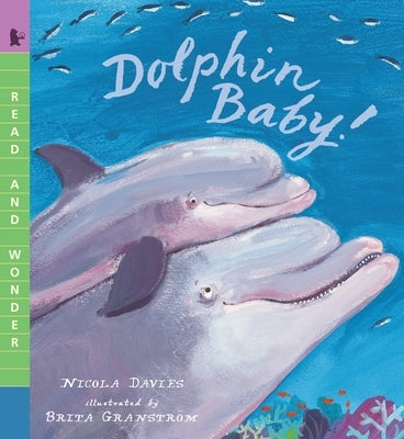 Dolphin Baby! by Davies, Nicola