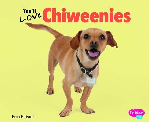You'll Love Chiweenies by Saunders-Smith, Gail