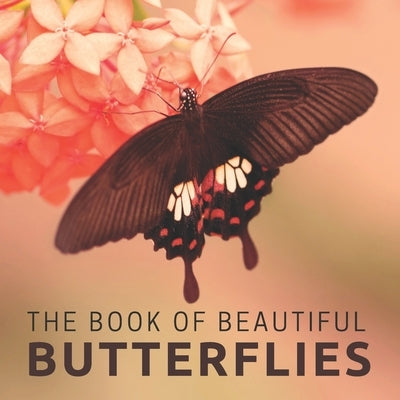 The Book Of Beautiful Butterflies: Picture Book For Seniors With Dementia (Alzheimer's) by Pretty Pine Press