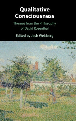 Qualitative Consciousness: Themes from the Philosophy of David Rosenthal by Weisberg, Josh