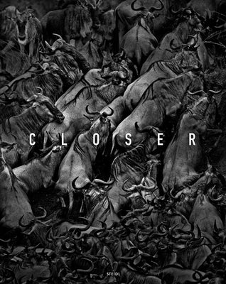 Tomasz Gudzowaty: Closer by Gudzowaty, Tomasz