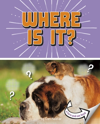 Where Is It?: A Turn-And-See Book by Meister, Cari