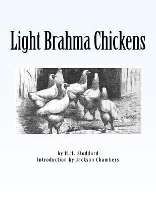 Light Brahma Chickens: Chicken Breeds Book 25 by Chambers, Jackson