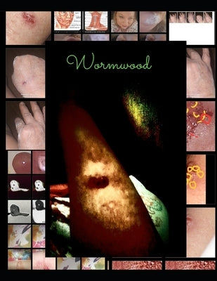 Surviving Wormwood: Heavenologist by Biggs, Theresa