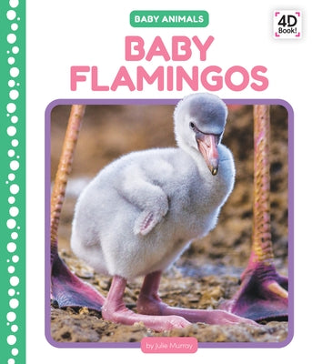 Baby Flamingos by Murray, Julie