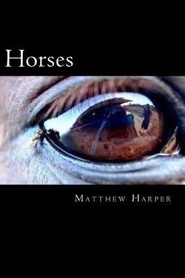 Horses: The Essential Guide To Horses For Kids by Harper, Matthew