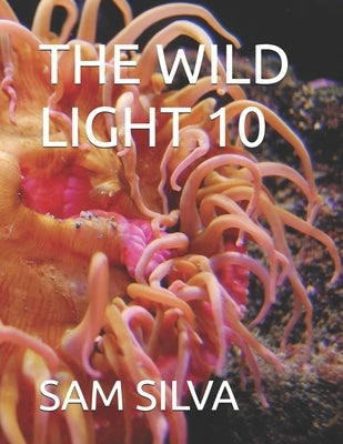 The Wild Light 10 by Silva, Sam