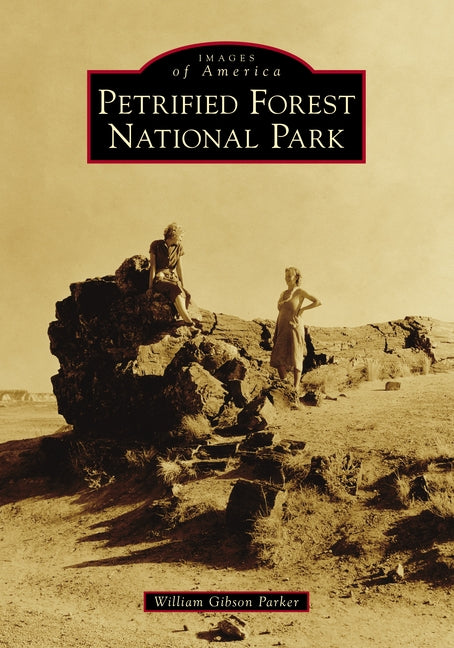 Petrified Forest National Park by Parker, William Gibson
