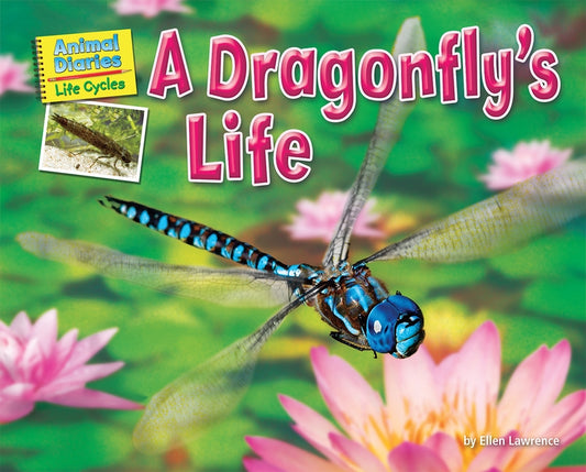 A Dragonfly's Life by Lawrence, Ellen
