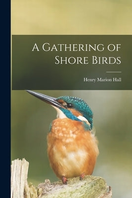 A Gathering of Shore Birds by Hall, Henry Marion 1877-