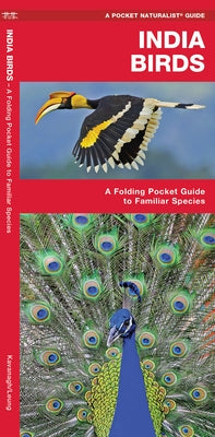 India Birds: A Folding Pocket Guide to Familiar Species by Kavanagh, James