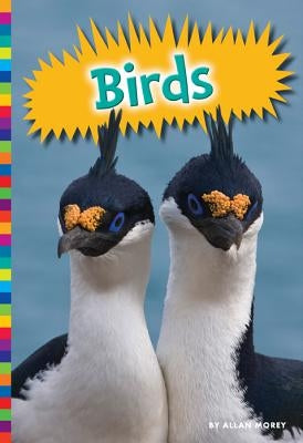 Birds by Morey, Allan