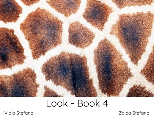 Look - Book 4 by Stefano, Zaida
