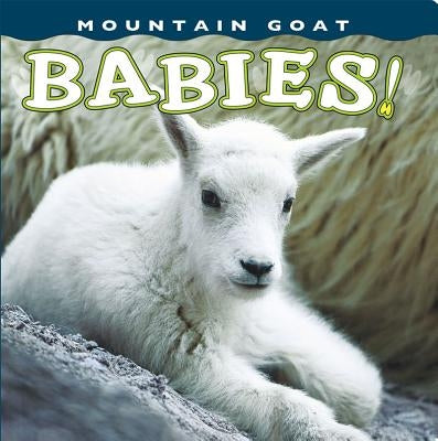 Mountain Goat Babies! by Harada, Sumio