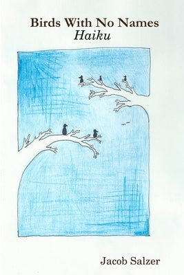 Birds With No Names by Salzer, Jacob
