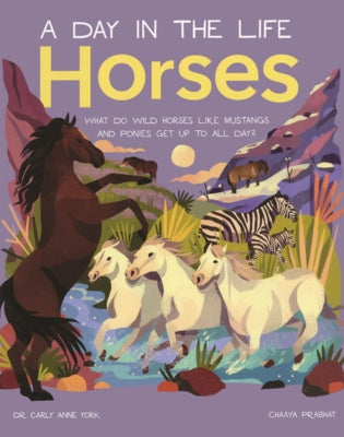 Horses: What Do Wild Horses Like Mustangs and Ponies Get Up to All Day? by York, Carly Anne