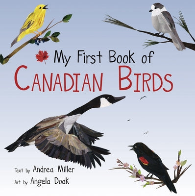 My First Book of Canadian Birds by Miller, Andrea