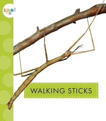 Walking Sticks by Black, Nessa