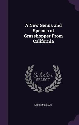 A New Genus and Species of Grasshopper From California by Hebard, Morgan